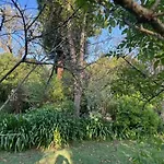 Casa Do Bosque Σπίτι διακοπών Cabañas
