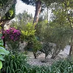Casa Do Bosque *