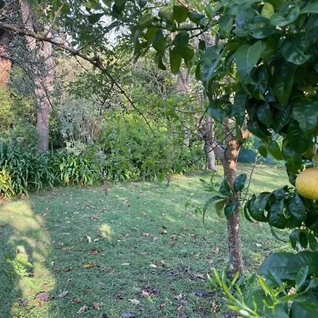 Holiday home Casa Do Bosque