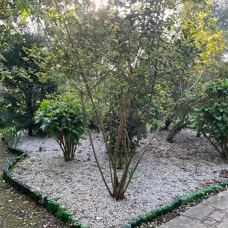 Holiday home Casa Do Bosque *