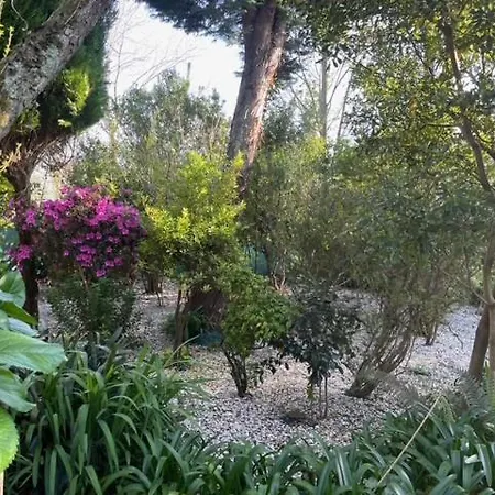 Casa Do Bosque *