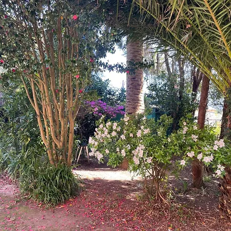 Casa Do Bosque Holiday home