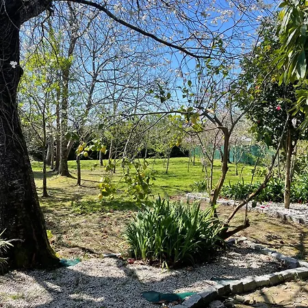 Casa Do Bosque Holiday home *