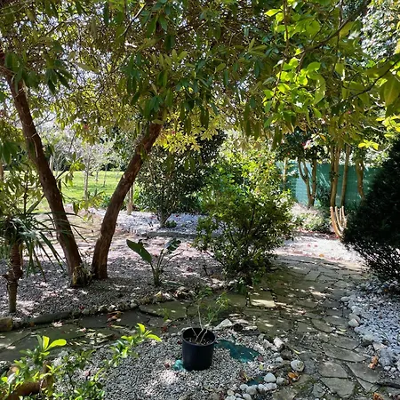 Casa Do Bosque Holiday home Cabanas