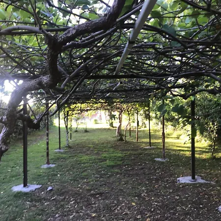 Holiday home Casa Do Bosque