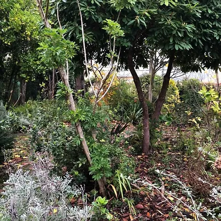 Casa Do Bosque