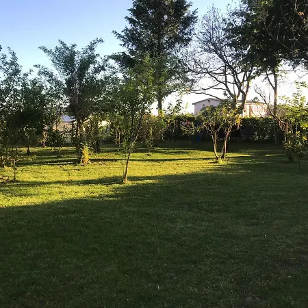 Holiday home Casa Do Bosque *