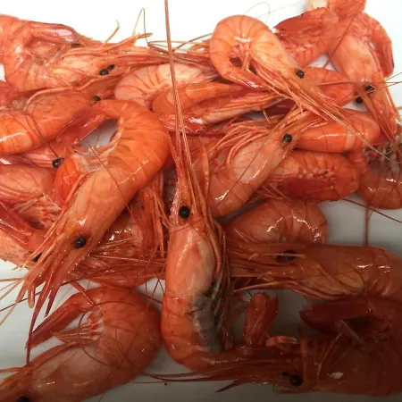 Casa Do Bosque * Cabañas