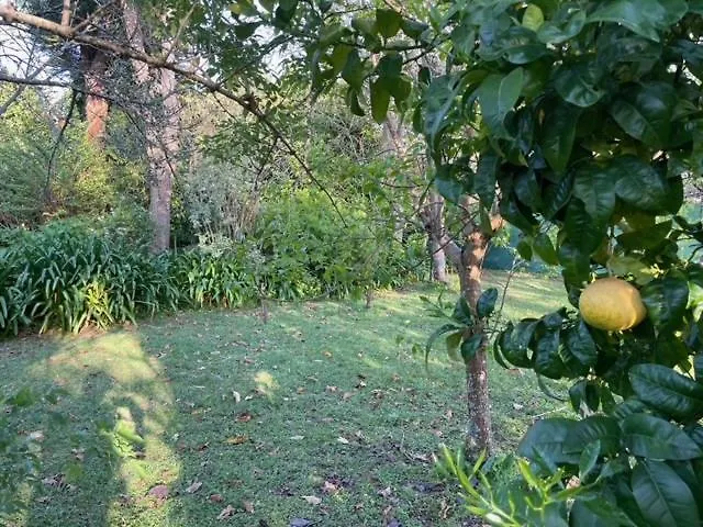 Semesterbostad Casa Do Bosque