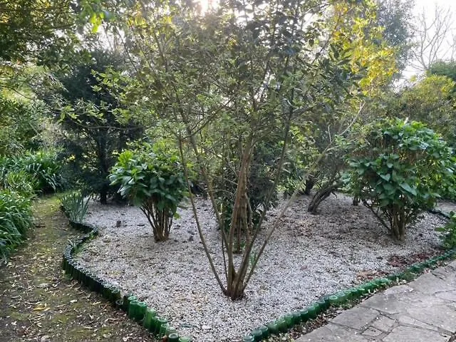 Semesterbostad Casa Do Bosque *