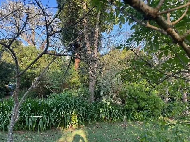 Casa Do Bosque Semesterbostad Cabañas