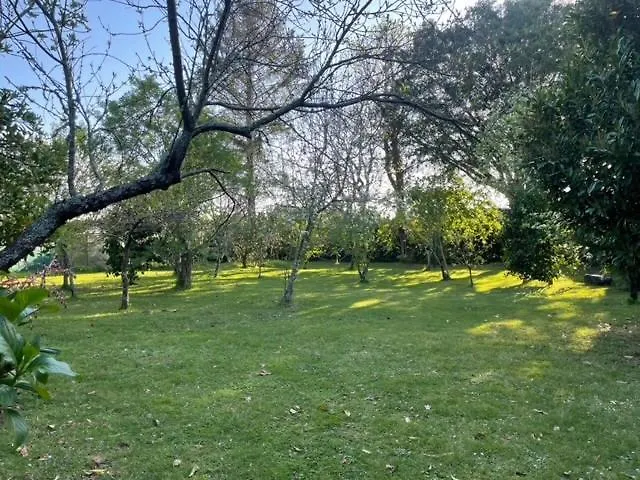 Semesterbostad Casa Do Bosque Cabañas