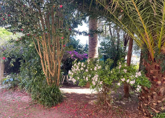 Casa Do Bosque Semesterbostad