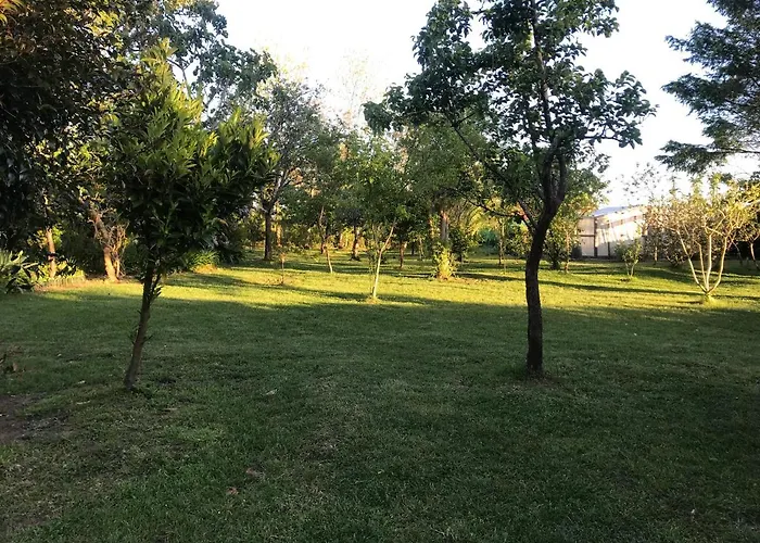 Semesterbostad Casa Do Bosque *