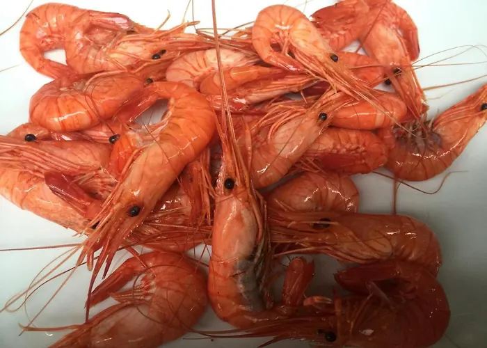 Casa Do Bosque * Cabañas